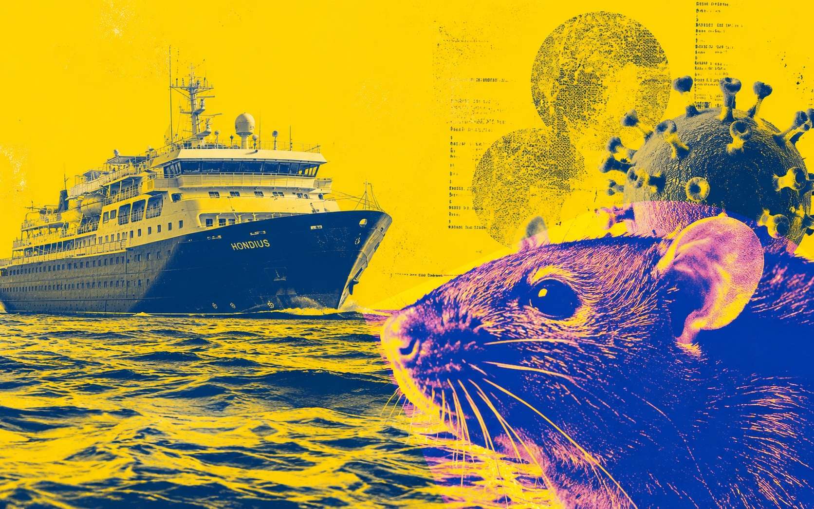 8 questions sur l'hantavirus : symptômes, transmission, risques... le point indispensable de l'Inserm
