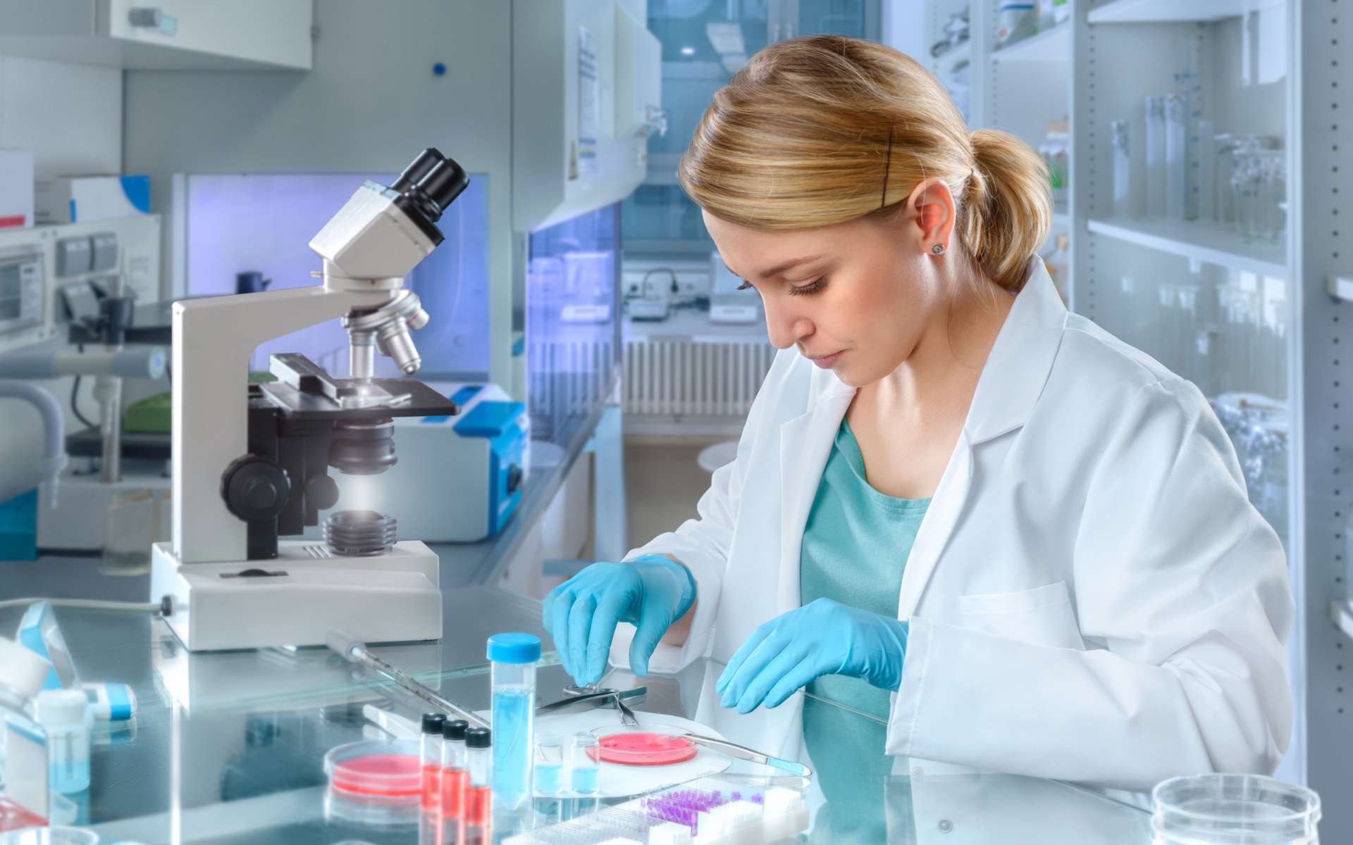 Une première : les femmes biologistes sont désormais majoritaires sur Wikipédia