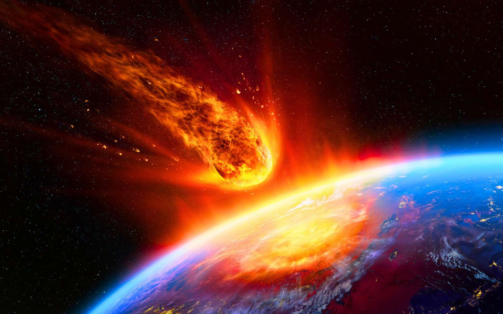 Si l’humanité disparaissait, voici la créature qui prendrait immédiatement le contrôle du monde