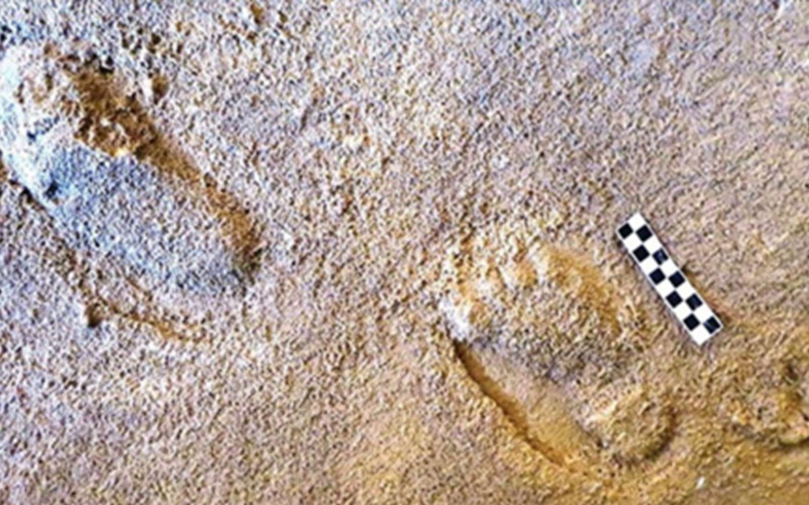 Ce que ces pas fossilisés disent de la vie secrète des Néandertaliens