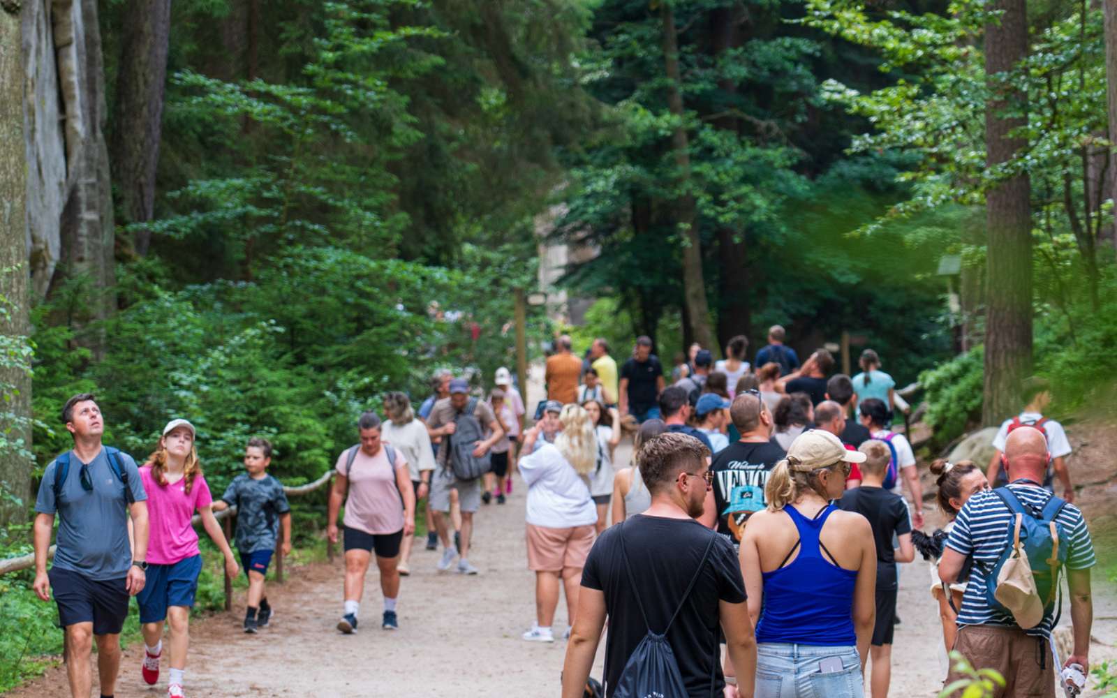 Il les appelle les « tourons » : les images de sa randonnée à Sequoia font le tour d'internet et choquent des milliers de personnes