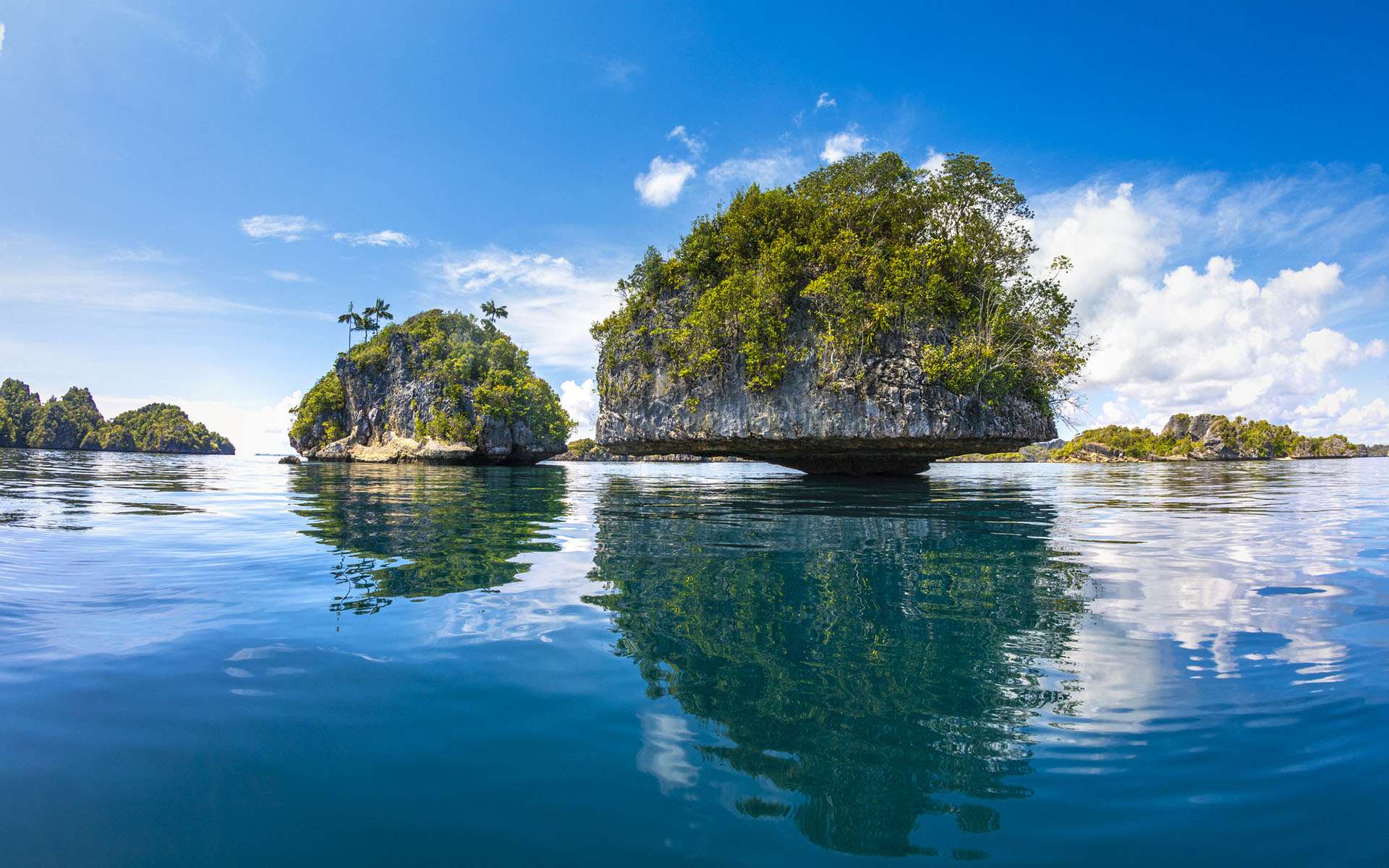 Pourquoi Raja Ampat abrite l'une des faunes sous-marines les plus exceptionnelles au monde ?