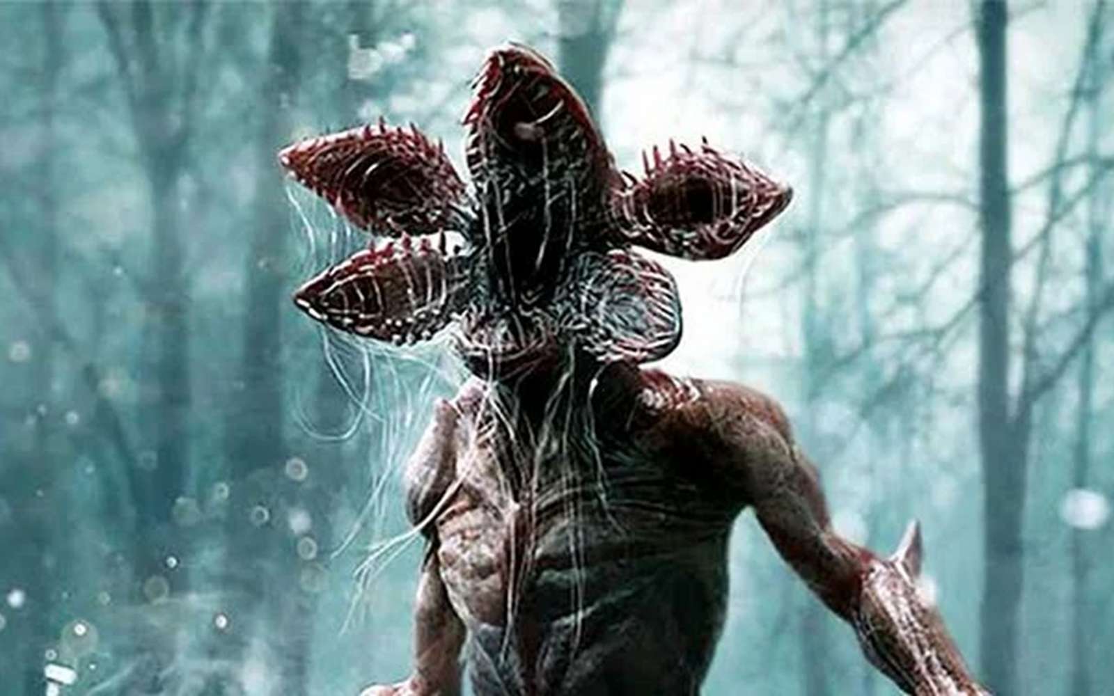 Stranger Things : ce que la biologie réelle nous dit de cette créature mythique de la série