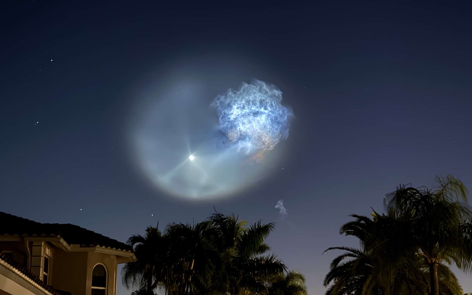 « Un événement incroyable » : une méduse géante illumine le ciel, mais un détail stupéfie les témoins