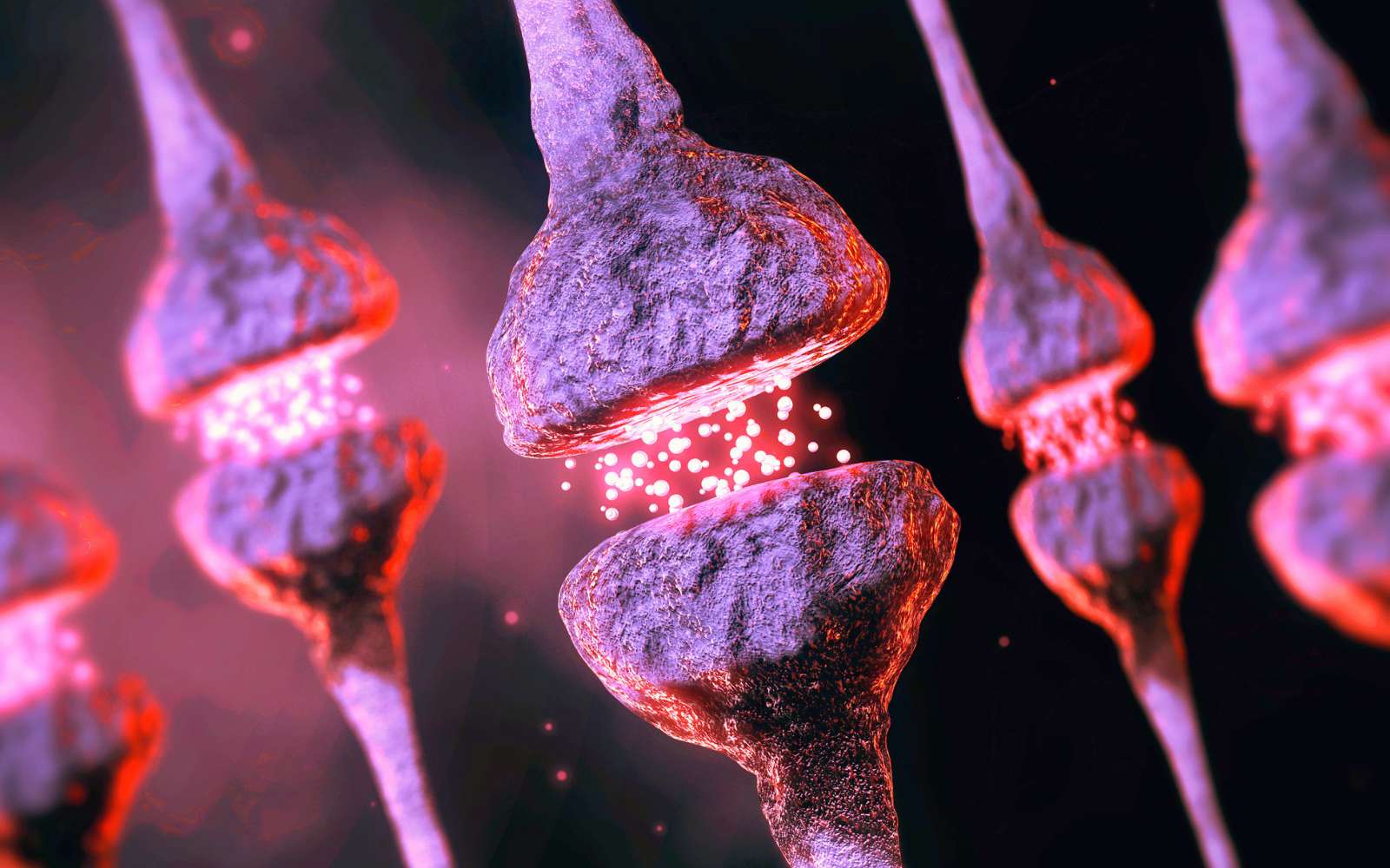 Les scientifiques découvrent un « nouveau langage » du cerveau humain