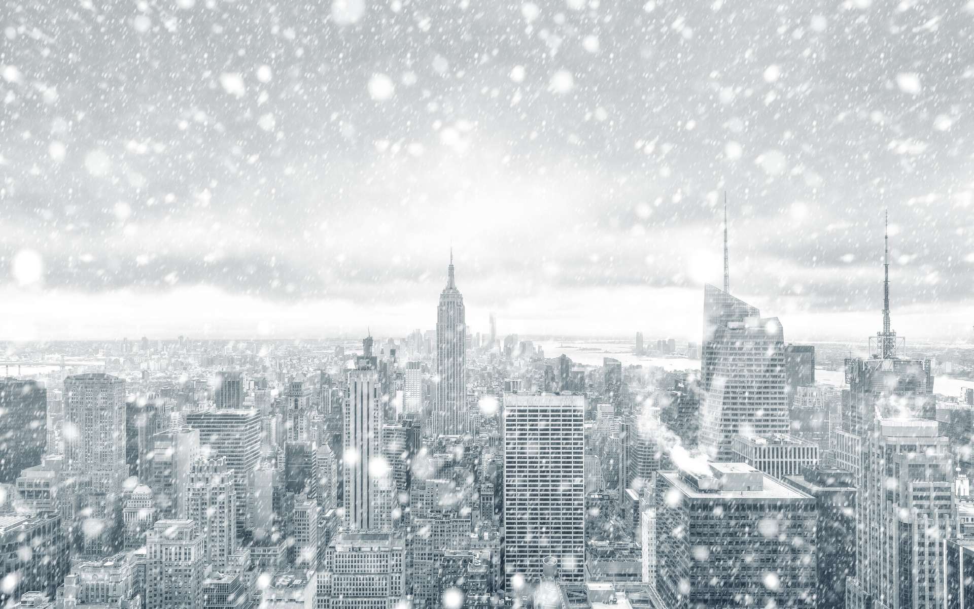 70 cm de neige à New York : une tempête historique paralyse la ville