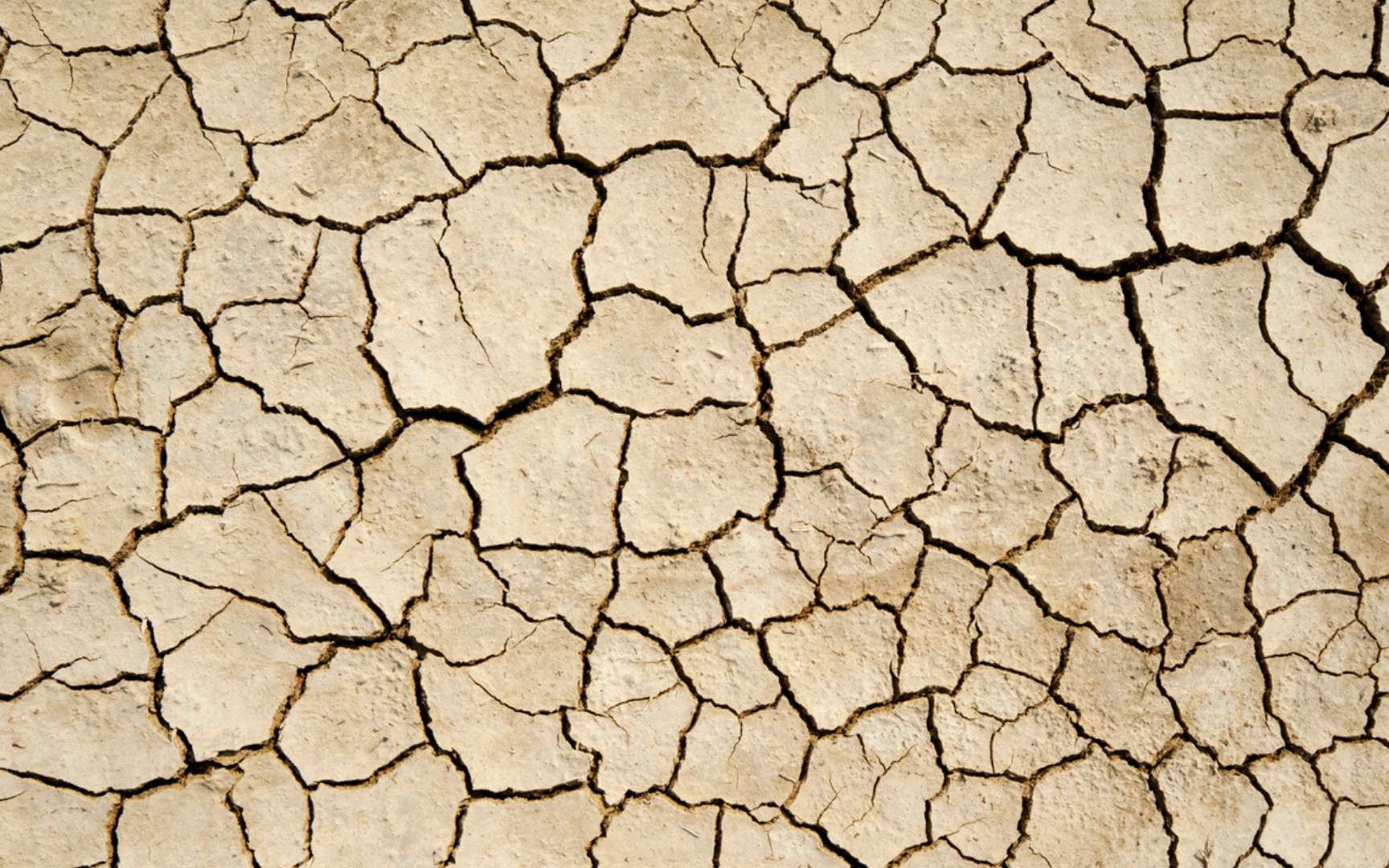 Voici ce qui empêche la sécheresse de frapper toute la planète en même temps
