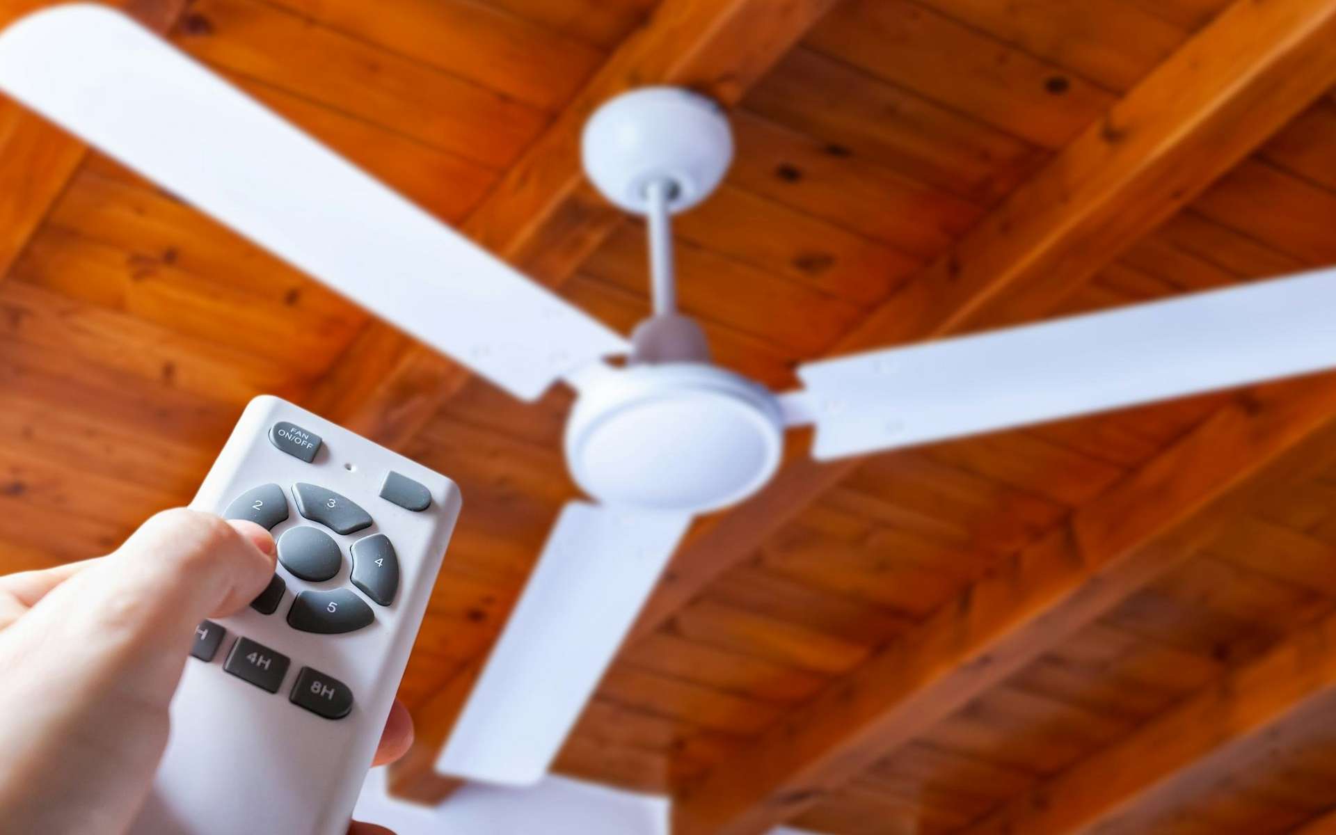 Canicule : que faire avant d'acheter une climatisation ? Les solutions qui fonctionnent déjà