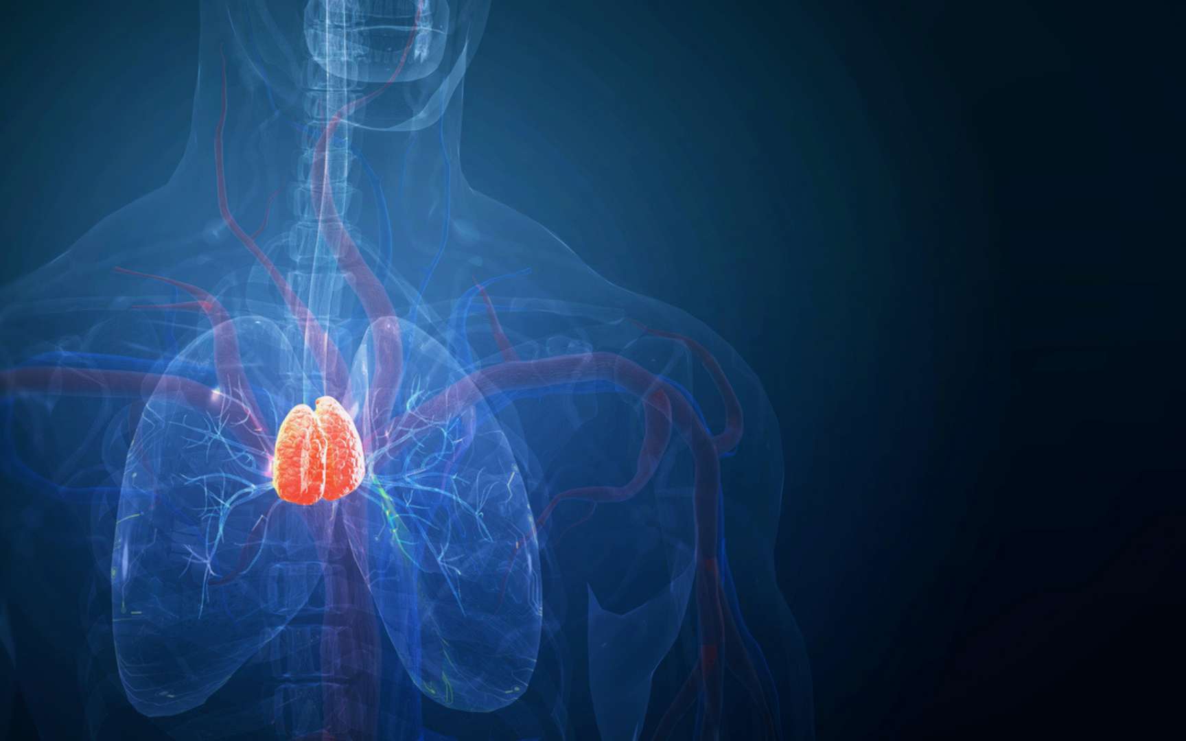 Longtemps considéré comme inutile, cet organe retiré en chirurgie divise aujourd'hui les scientifiques