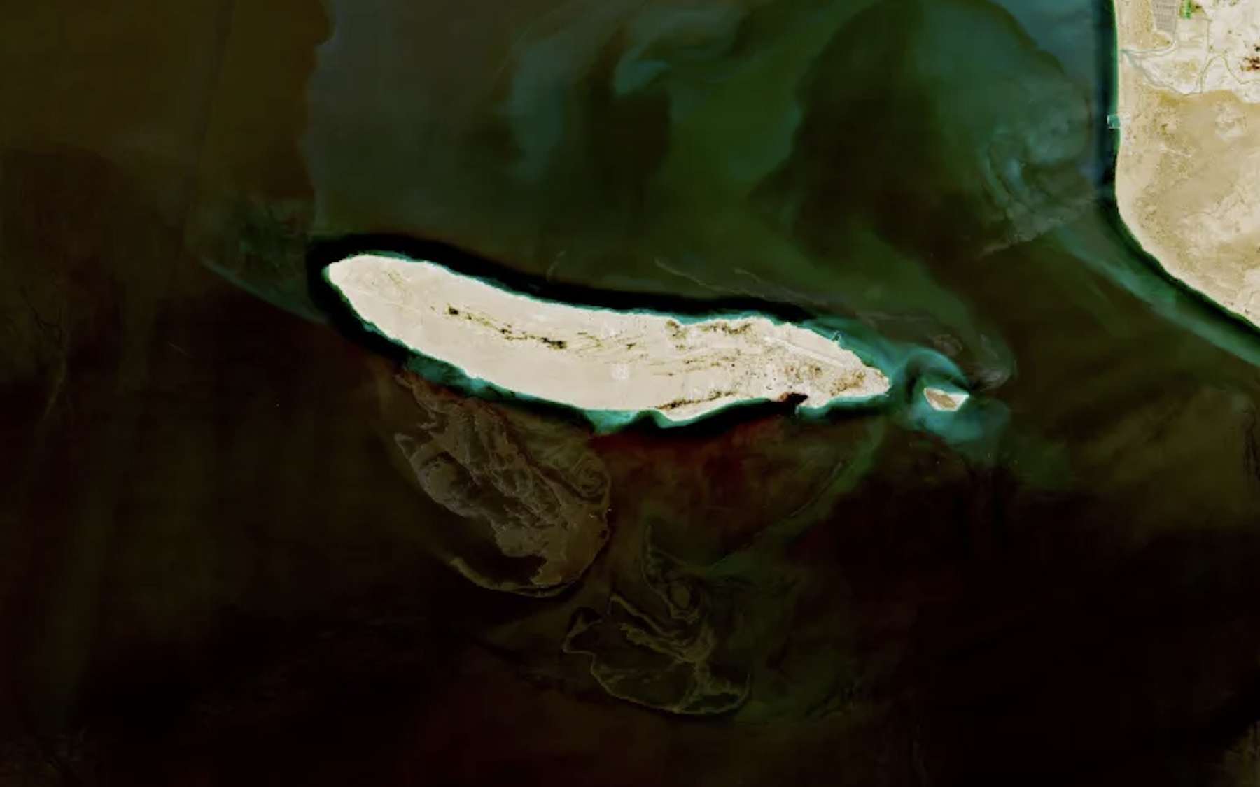 La photo de la semaine : ce serpent noir raconte ce que la guerre en Iran laisse déjà derrière elle et c'est une catastrophe