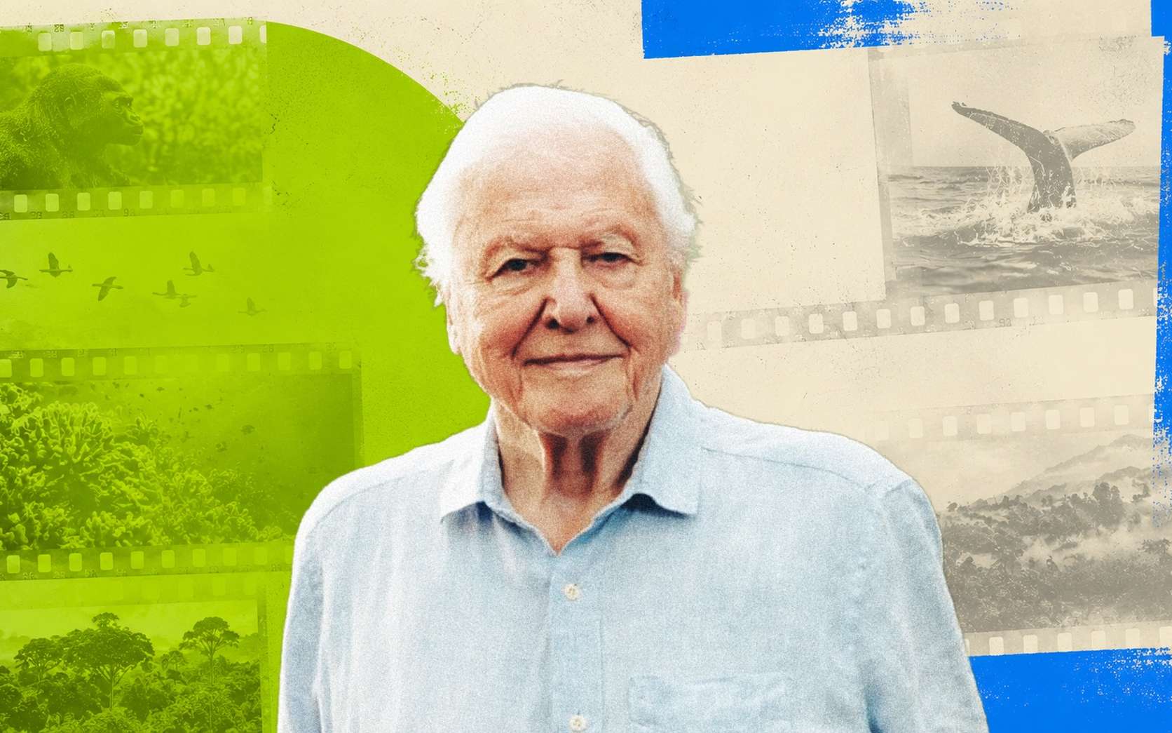 David Attenborough a 100 ans : comment il est devenu la voix la plus célèbre du vivant