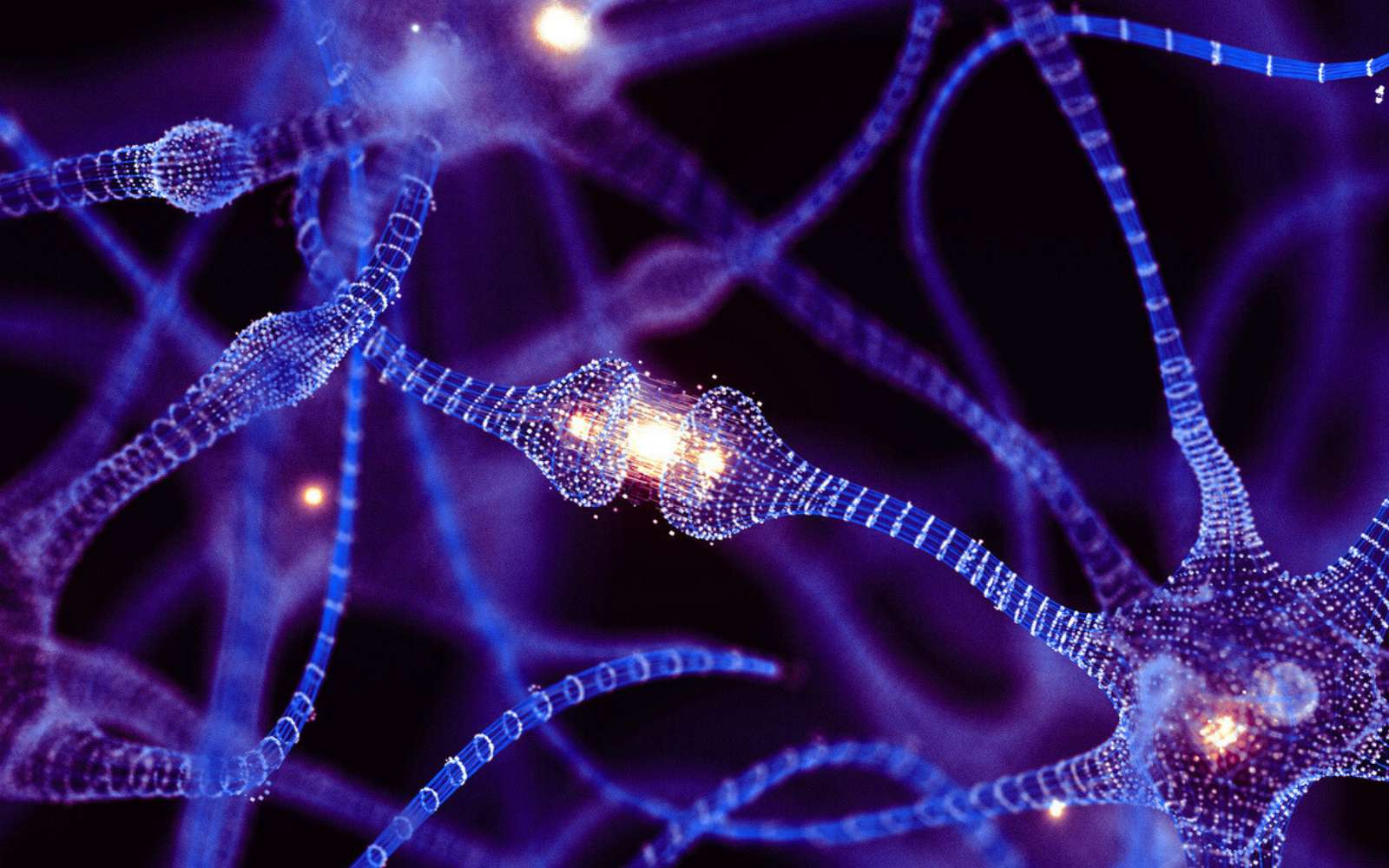 Et si relancer l’énergie des neurones permettait de retarder Alzheimer et les démences ?