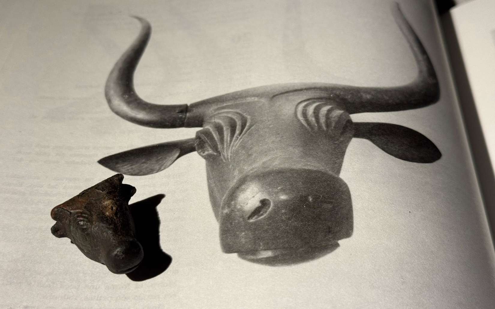 Cette petite tête en bronze trouvée par un randonneur pourrait révéler un rituel oublié des Baléares