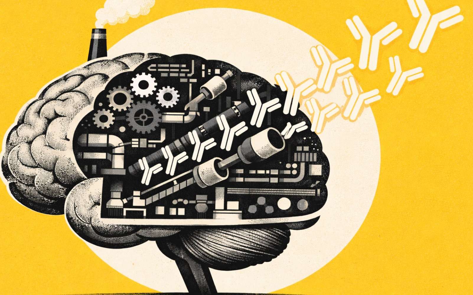 Ce que votre cerveau change vraiment dans l’efficacité d’un vaccin et du système immunitaire