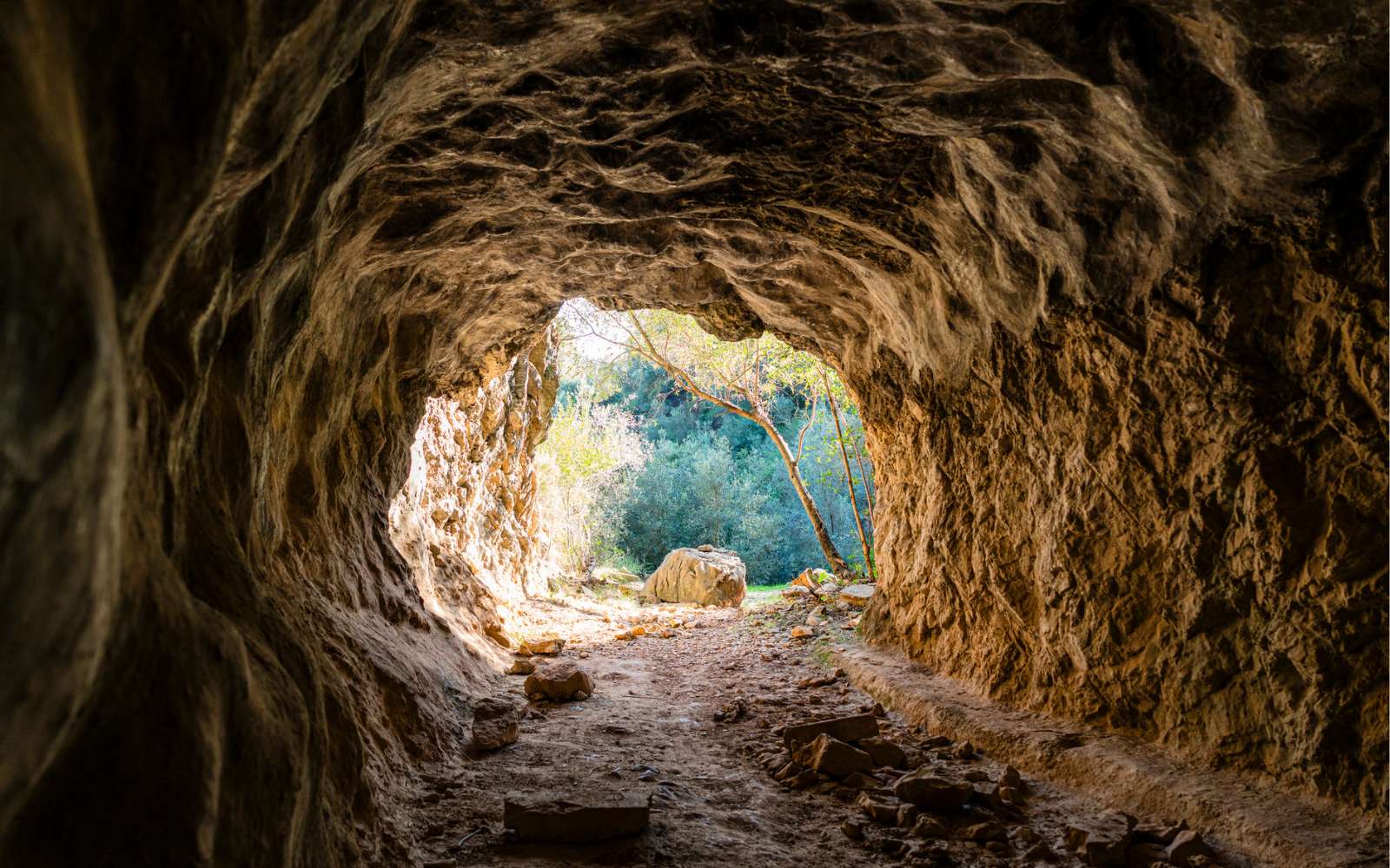 Au fond d'une grotte au Texas, des archéologues tombent sur un trésor préhistorique si bien conservé qu'il semble presque récent