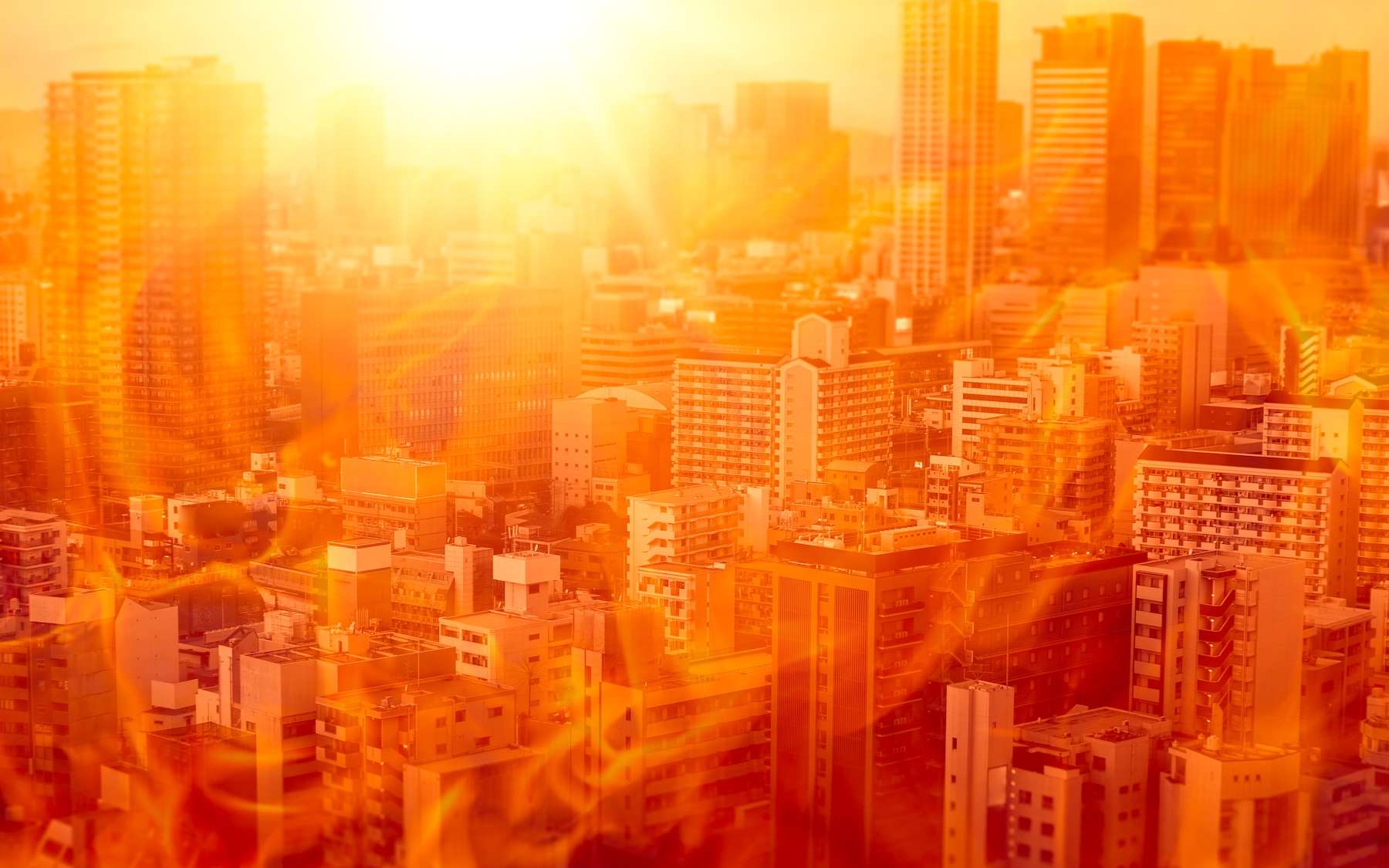 Il a fait plus chaud en France que sur 99,02 % de la planète : comment en est-on arrivé là ?