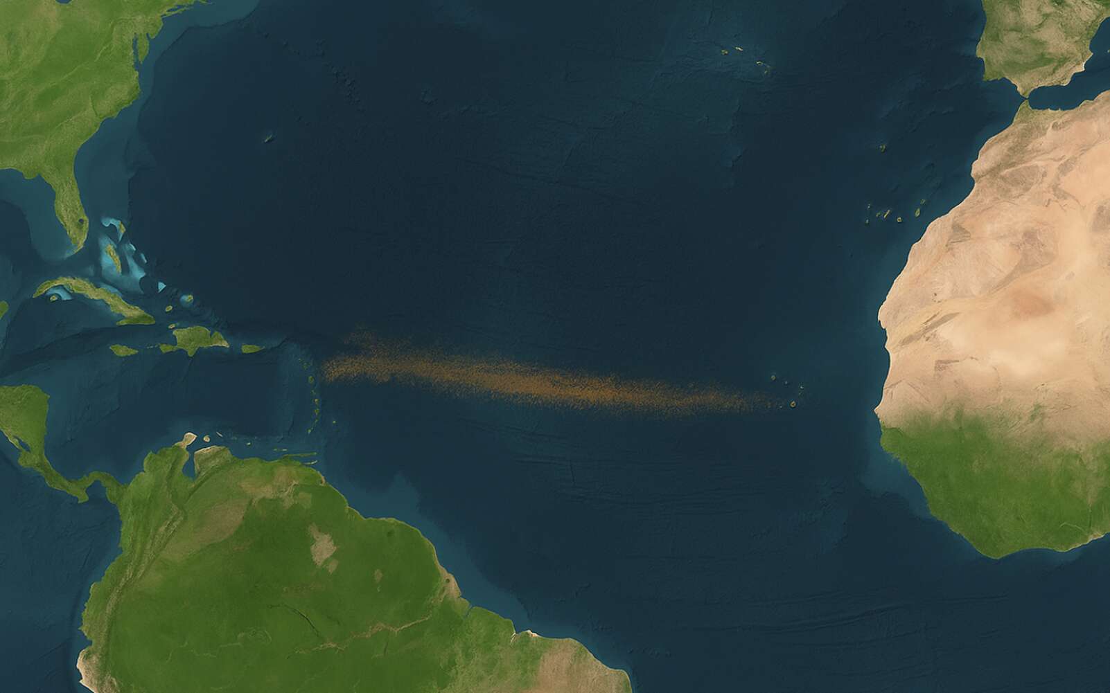 Un ruban brun long comme un continent vient de se former entre l'Afrique et l'Atlantique et inquiète les scientifiques