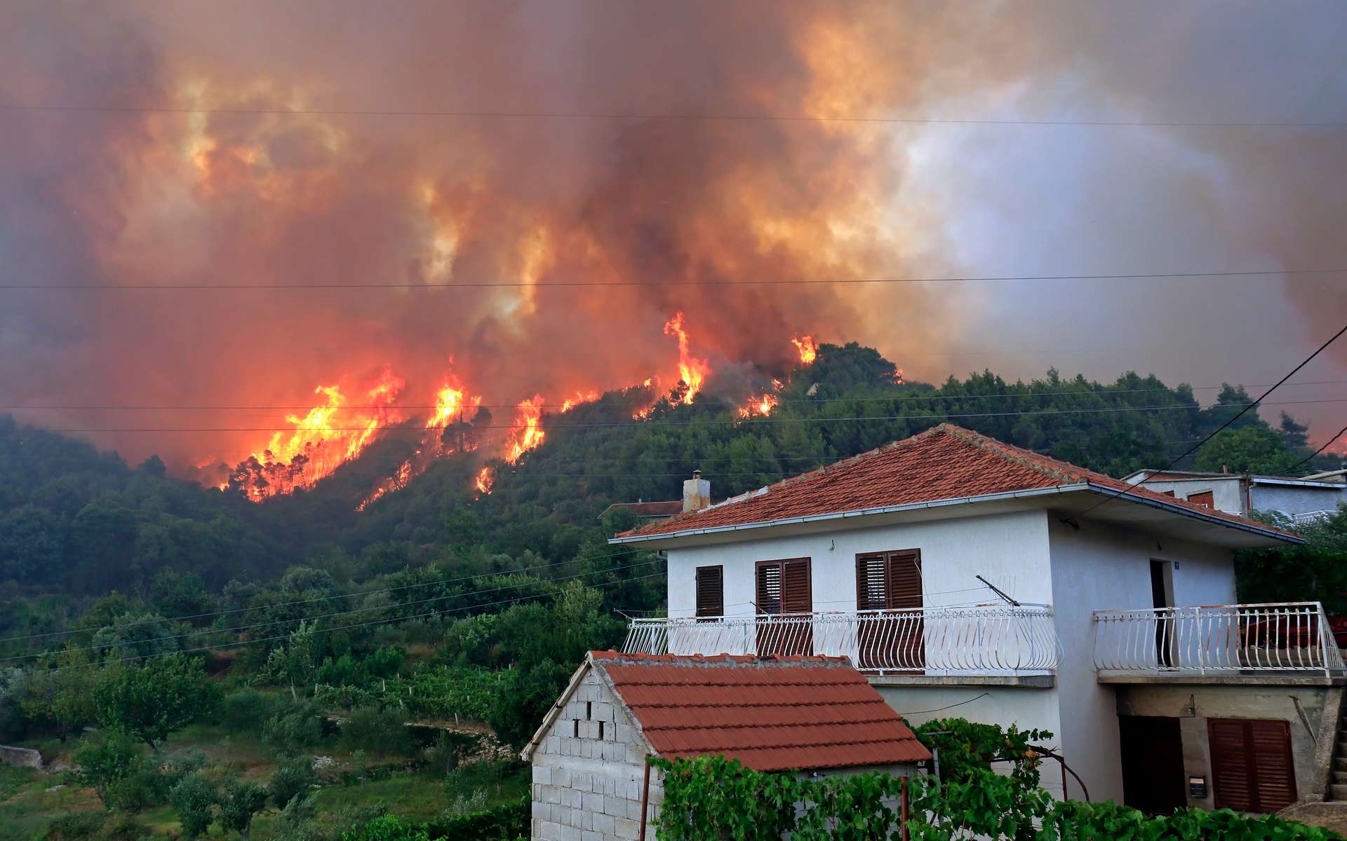 Maison menacée, route coupée : que faire immédiatement si le feu se rapproche de chez vous ?