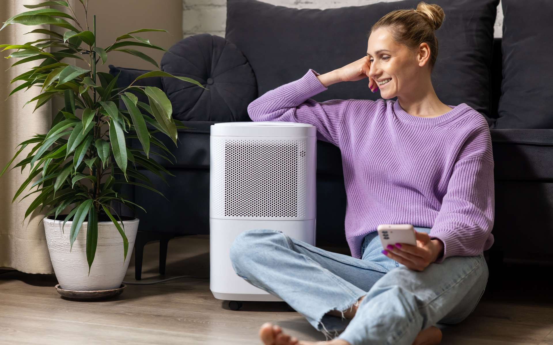 Top 5 des déshumidificateurs d'air pour lutter contre l'humidité à la maison