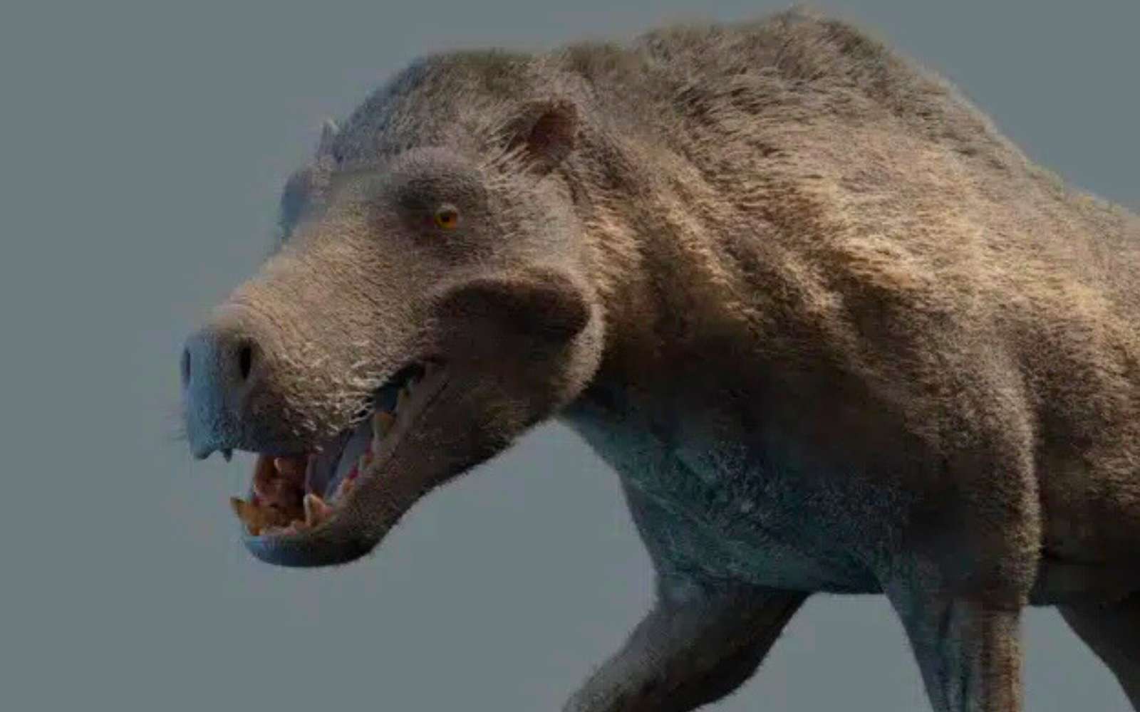 Les « cochons de l’enfer » : ces monstres broyaient des os comme des hyènes