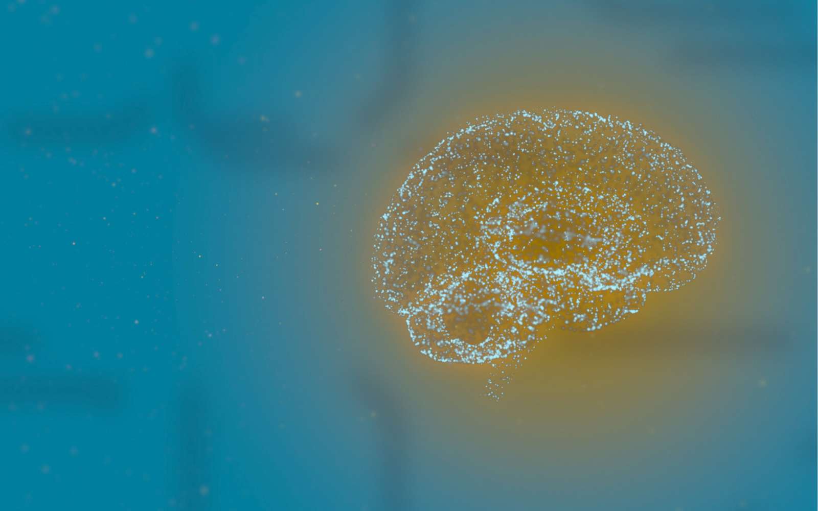 C'est pire que prévu : le cerveau accumule jusqu'à 30 fois plus de microplastiques que certains organes