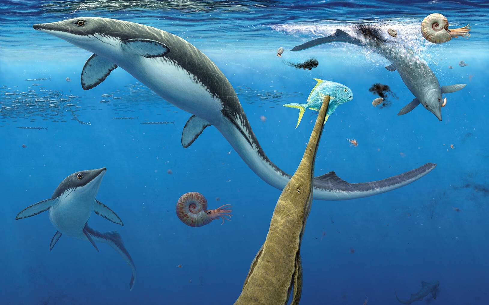 Un écosystème vieux de 249 millions d'années découvert en Arctique, révèle les premiers reptiles marins