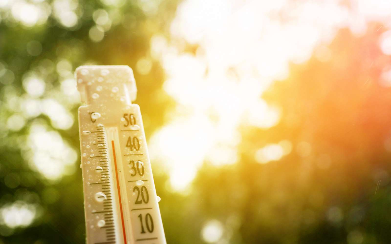 Réchauffement climatique : voici les 10 villes françaises les plus menacées d’ici 2100