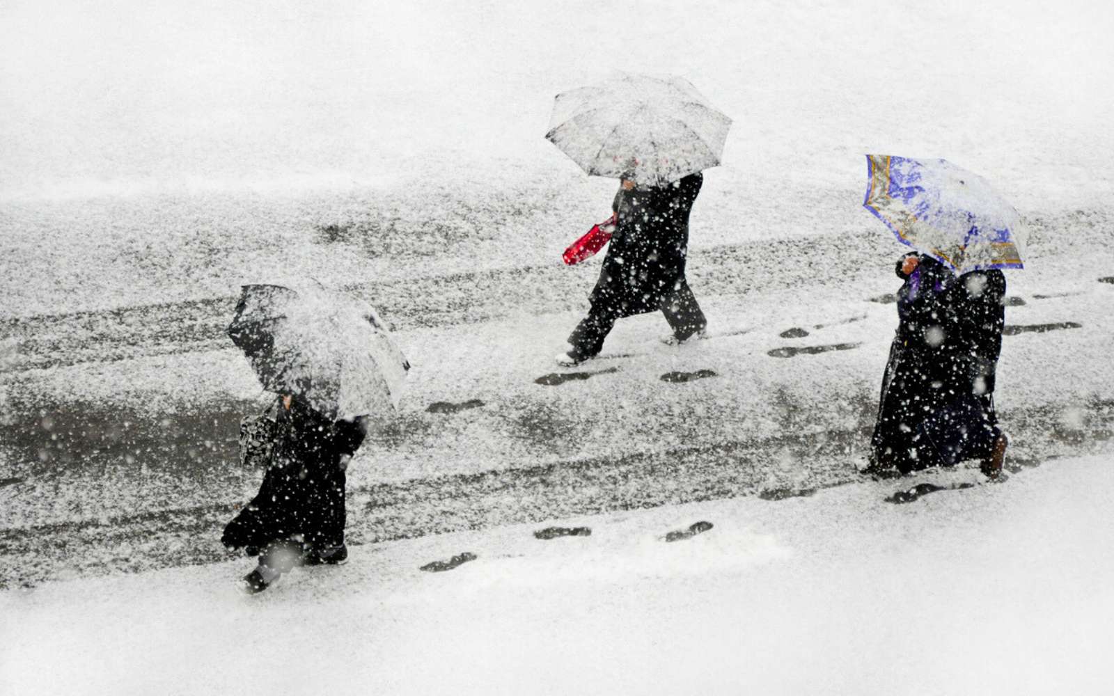 60 cm de neige en Normandie en 24 h : retour sur un épisode météo hors norme !