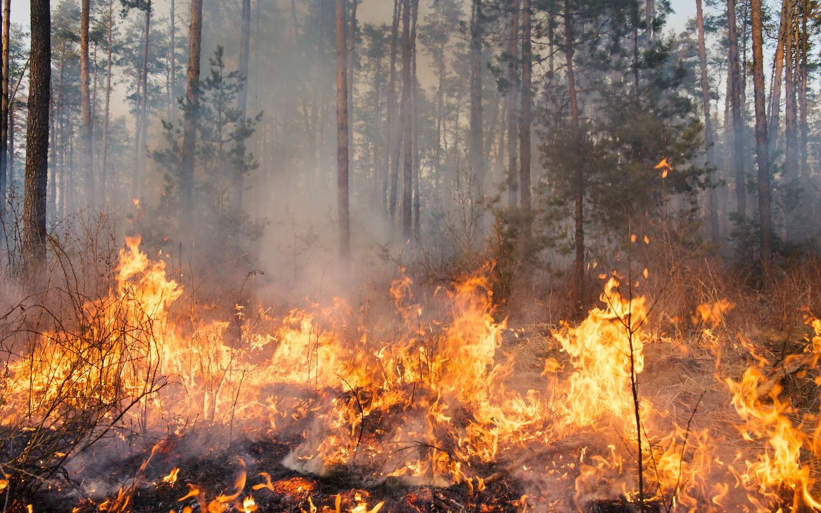 La menace incendie gagne du terrain : vérifiez dès maintenant si votre commune est concernée
