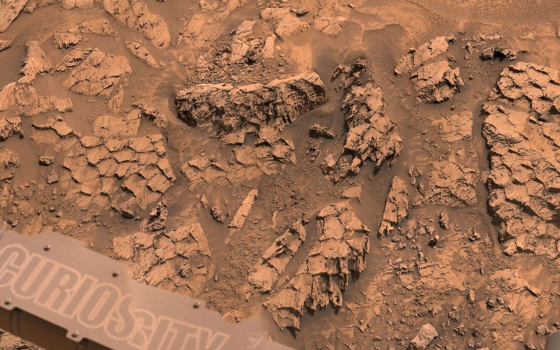 Des « écailles de dragon » sur Mars ? Un rover de la Nasa vient de tomber sur bien plus qu'une curiosité