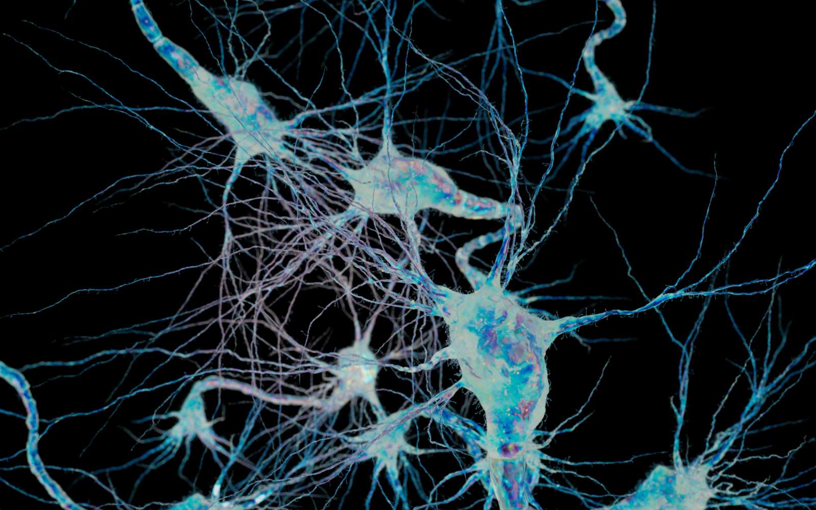 Alzheimer : cette molécule novatrice qui a restauré la mémoire... chez la souris