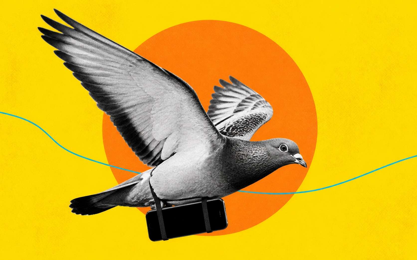 « Un pigeon est en route » : cette appli fait patienter vos messages pendant des heures... et son succès est fulgurant !