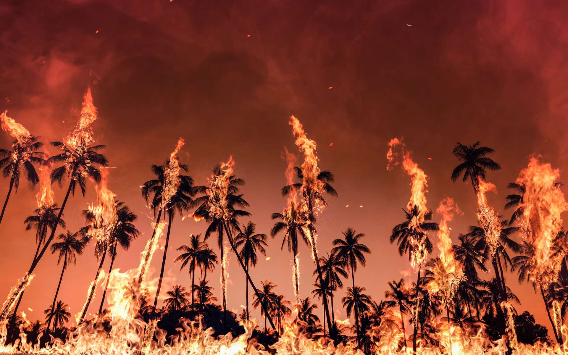 Ces 5 catastrophes météo ont fait de 2025 une année hors norme