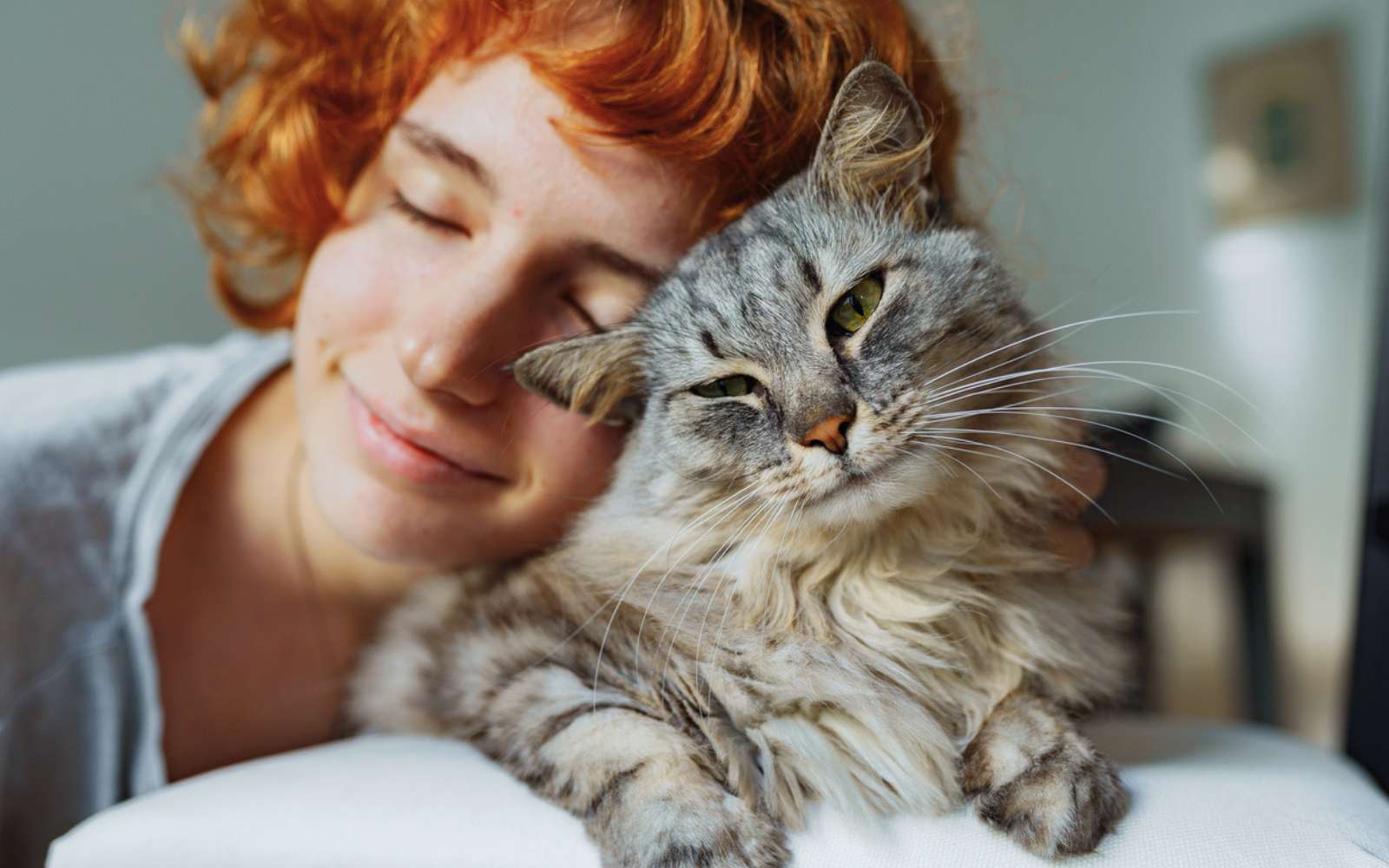On s'est trompé pendant des décennies sur l'origine de nos chats domestiques selon une nouvelle étude