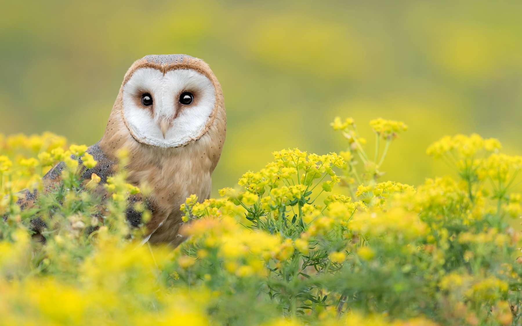 Réchauffement climatique : le constat de ces chercheurs est sans appel... La nature a déposé les armes