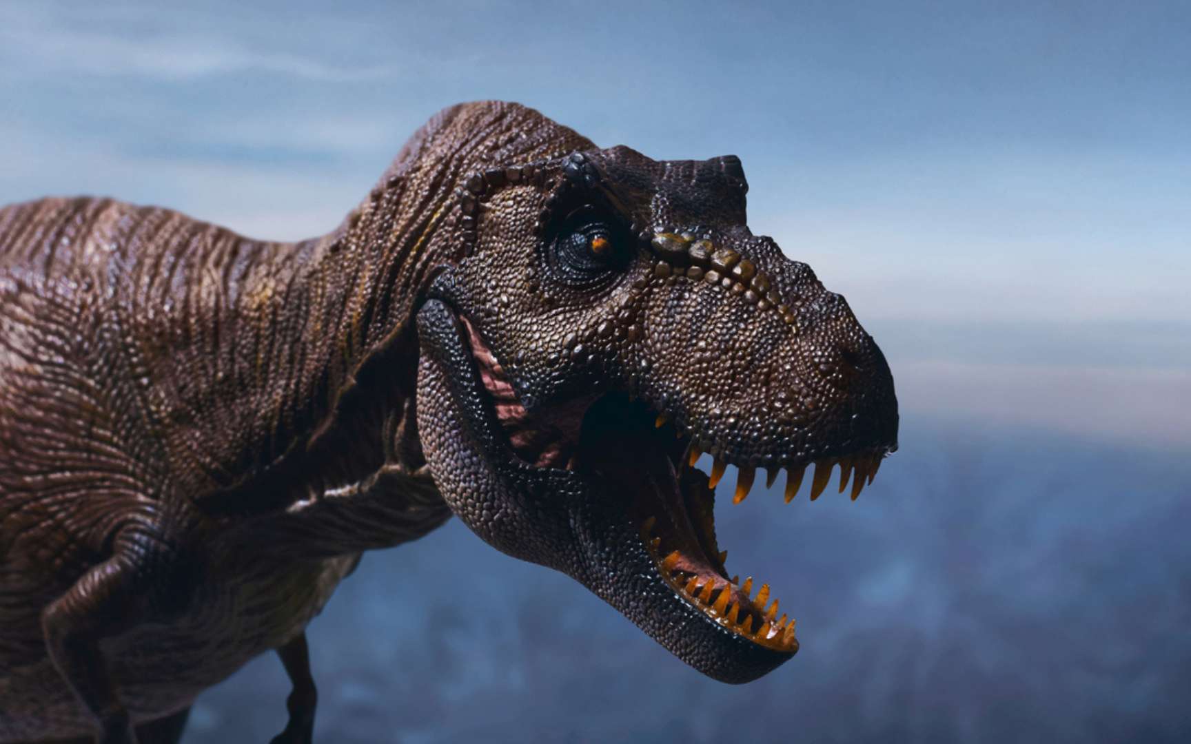 Le T. rex n'était pas qu'une brute : son cerveau aurait pu lui permettre de résoudre des problèmes et même d'utiliser des outils
