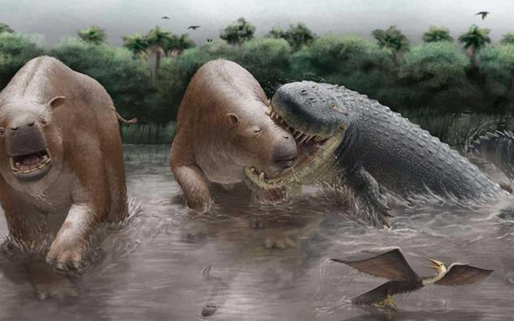 « Il y avait tellement de proies disponibles » : ce crocodilien géant dominait ce monde perdu il y a 10 millions d'années