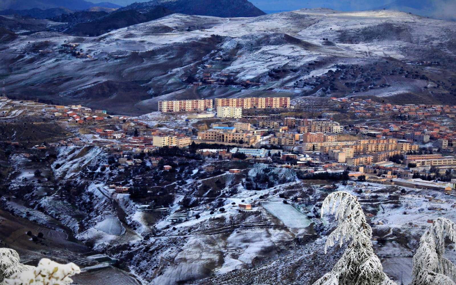 Froid polaire en Algérie : retour sur un record météo qui a marqué l’histoire