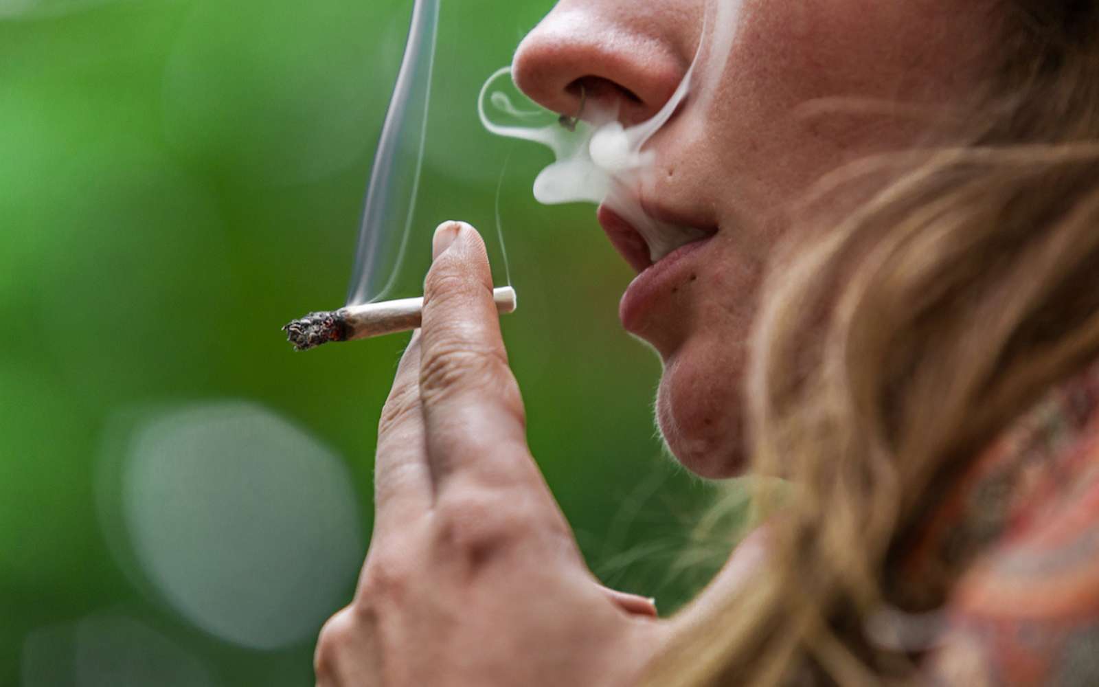 « Six fois plus de risques » : l’alerte choc sur le cannabis