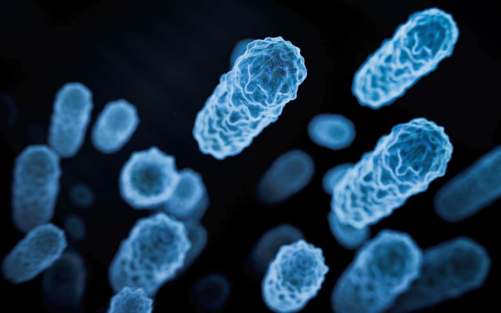 Une simple bactérie intestinale pourrait aider à conserver votre perte de poids, selon une étude