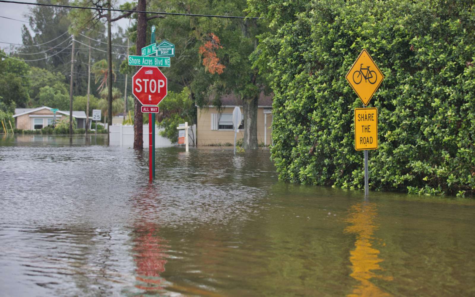 « On a sous-estimé le danger » : pourquoi les villes côtières sont menacées