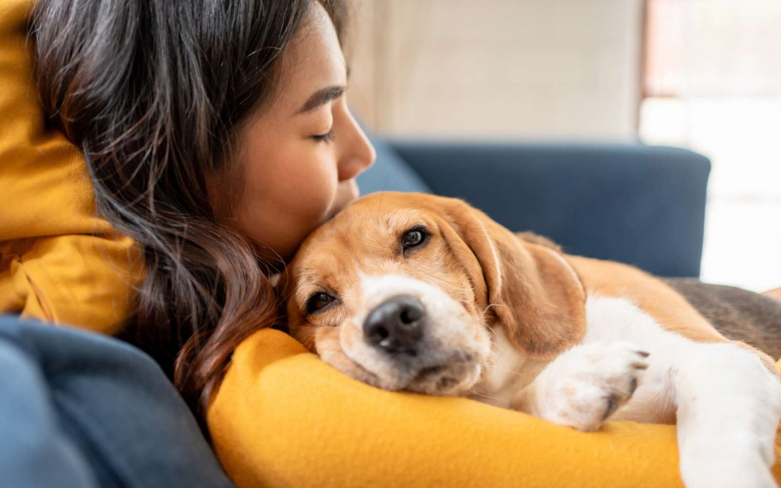 Voici pourquoi vous ressemblez sans doute à votre chien selon des chercheurs