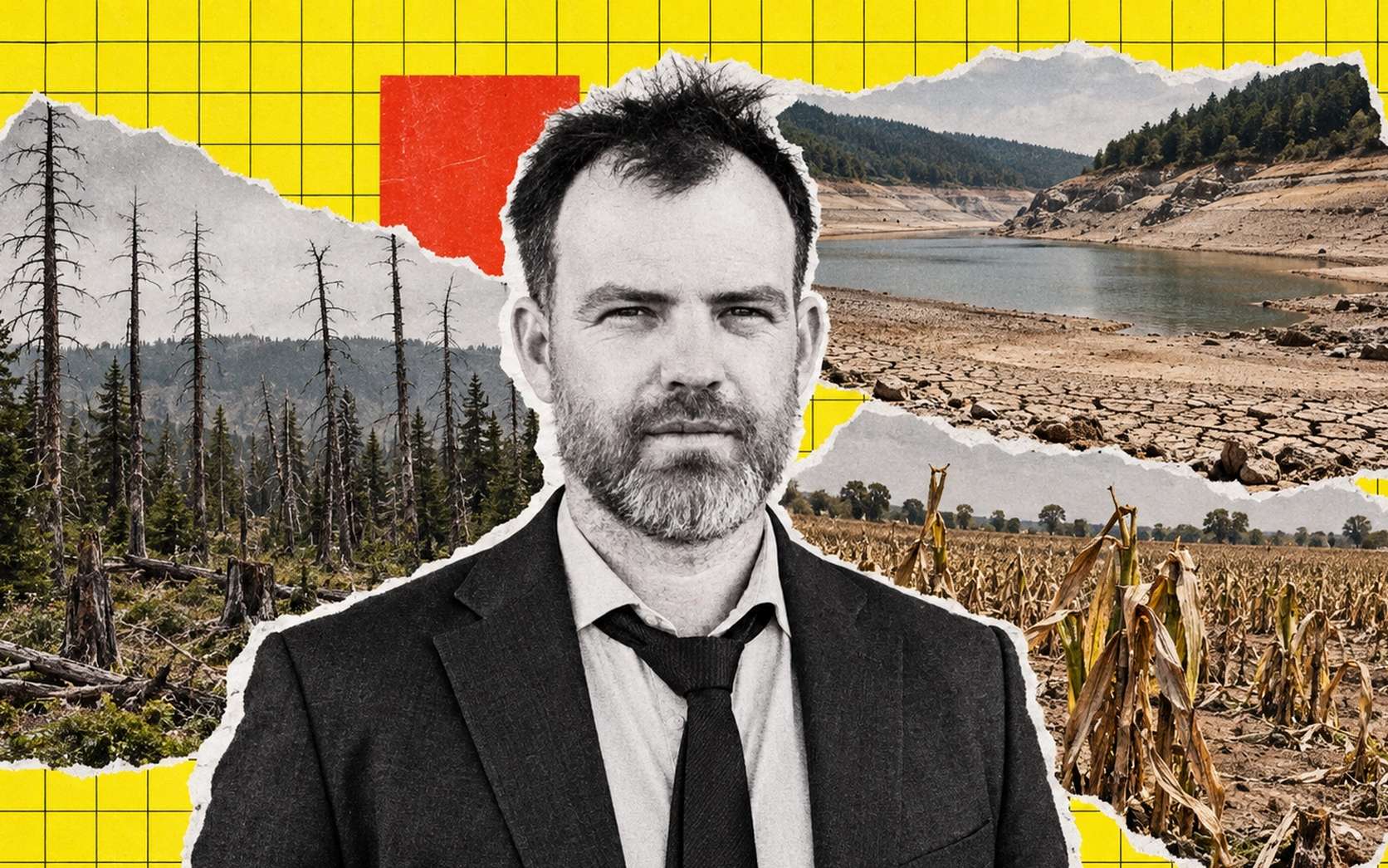 Désertification en France : « Nous devons prendre conscience de notre vulnérabilité », alerte le géographe Jean-Daniel Cesaro
