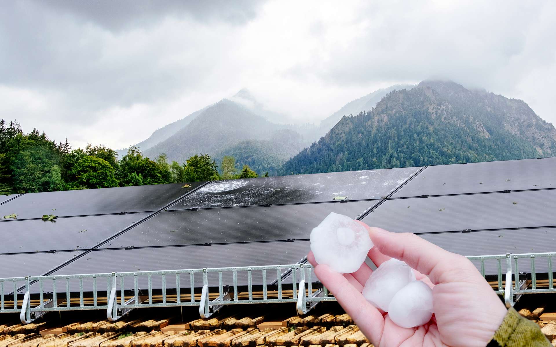 Les énergies renouvelables sont « inarrêtables » et triomphent en 2025, mais une inquiétude majeure apparaît