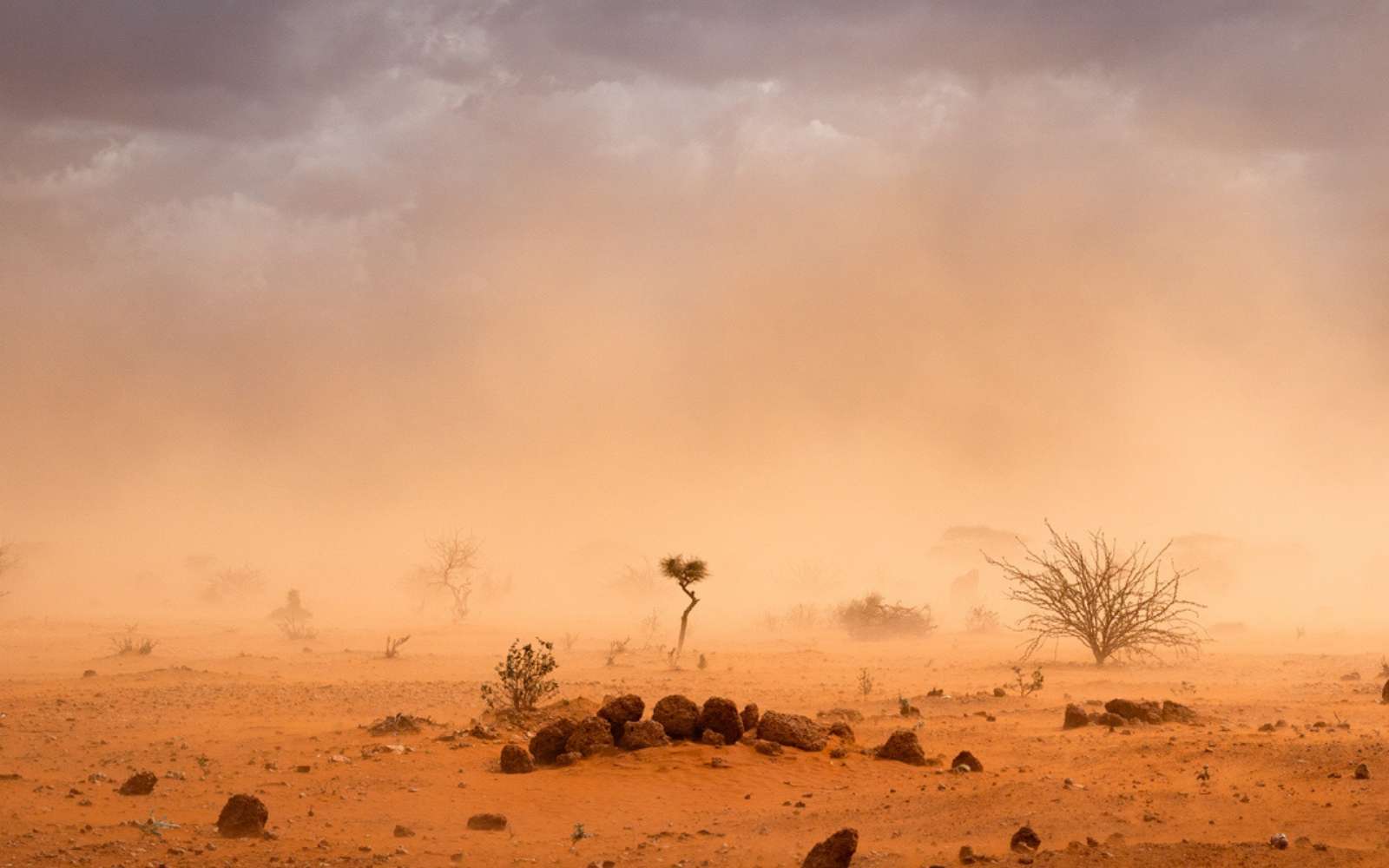 Alerte maximale : le climat extrême menace de faire basculer l’Afrique entière