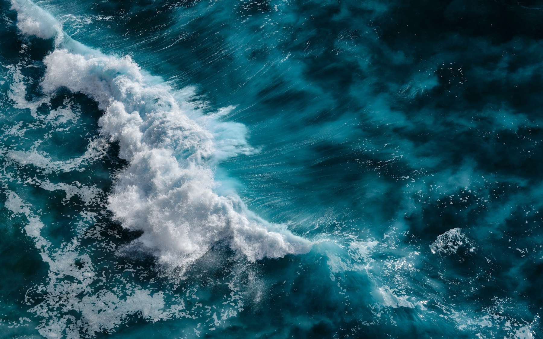 Ils injectent des minéraux pour "nourrir" l'océan... l'université Cornell révèle le vrai prix de cette expérience