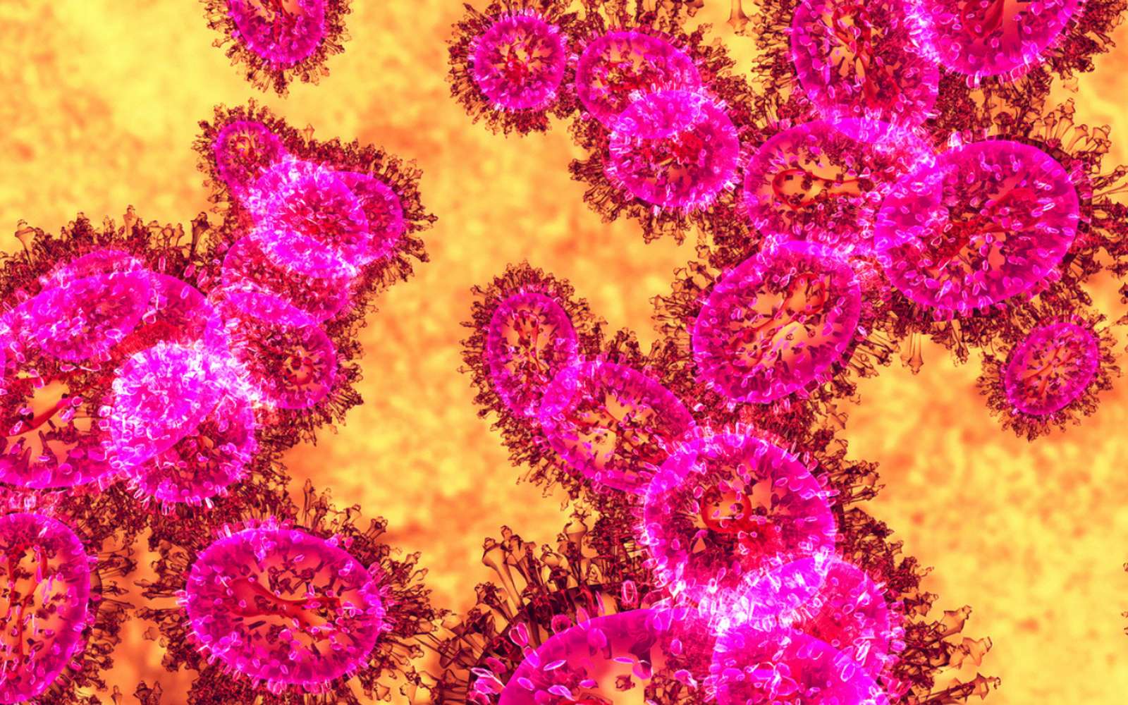 Voici les images inédites d'un virus filmé en temps réel en train de chercher à infecter une cellule