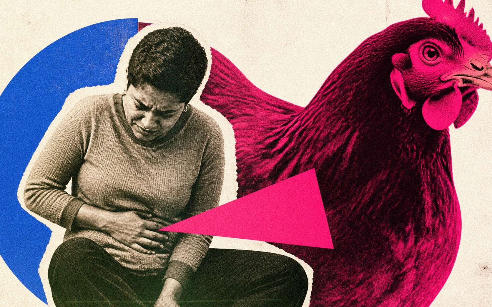 Poulet industriel : la circulation de cette bactérie responsable de gastro-entérites explose, révèle une vaste étude