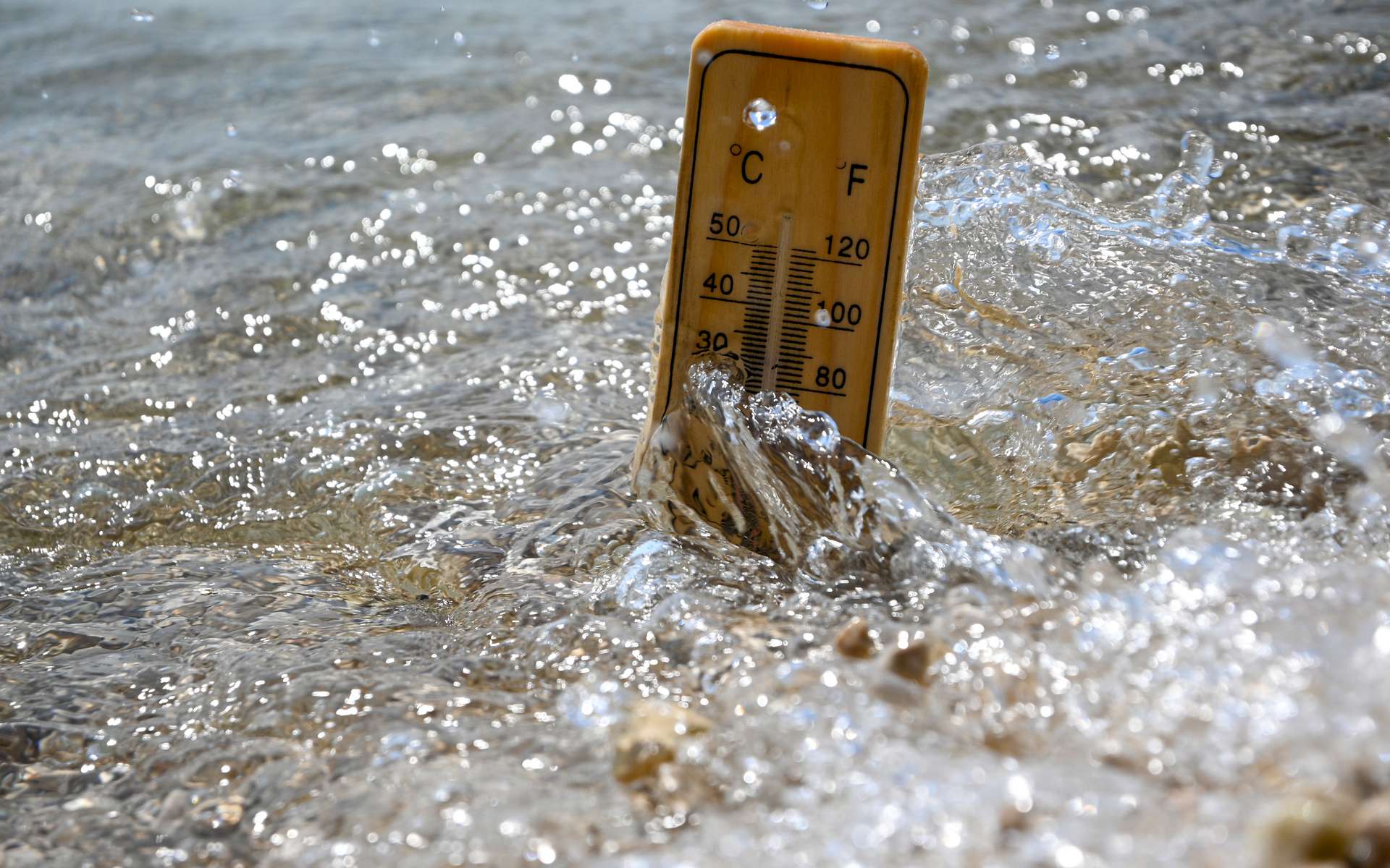 Baignade de rêve ou signal d'alerte ? La mer atteint déjà des températures anormales, les chercheurs n'en reviennent pas !