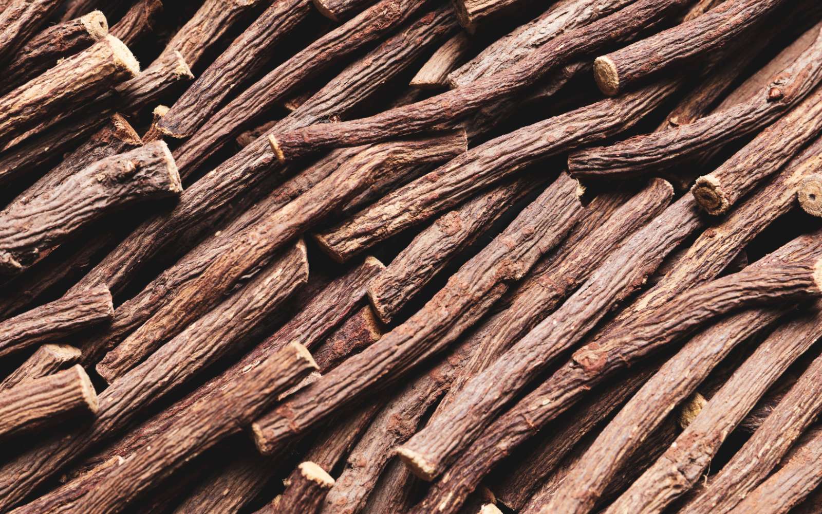 La plante de la semaine : de la réglisse chez vous !